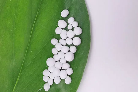  Urea 
