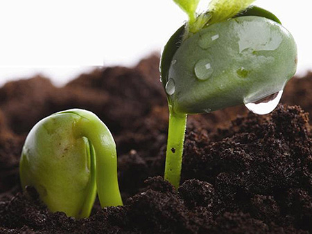 Top Fertilizer Producing Countries