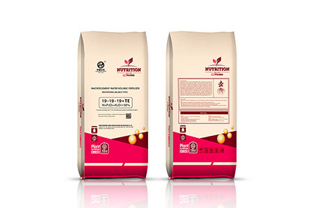  Macro Element Water soluble fertilizer 